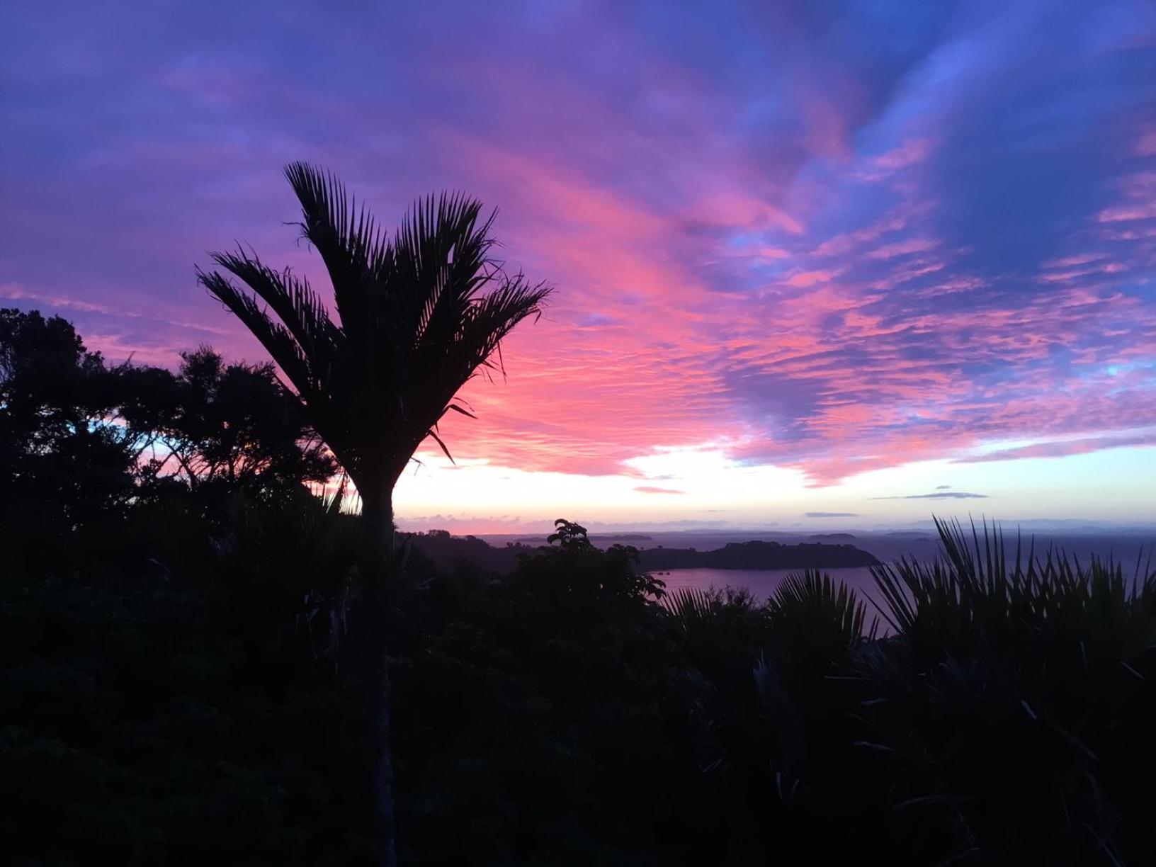 Nikau Apartments Waiheke Island Onetangi Εξωτερικό φωτογραφία