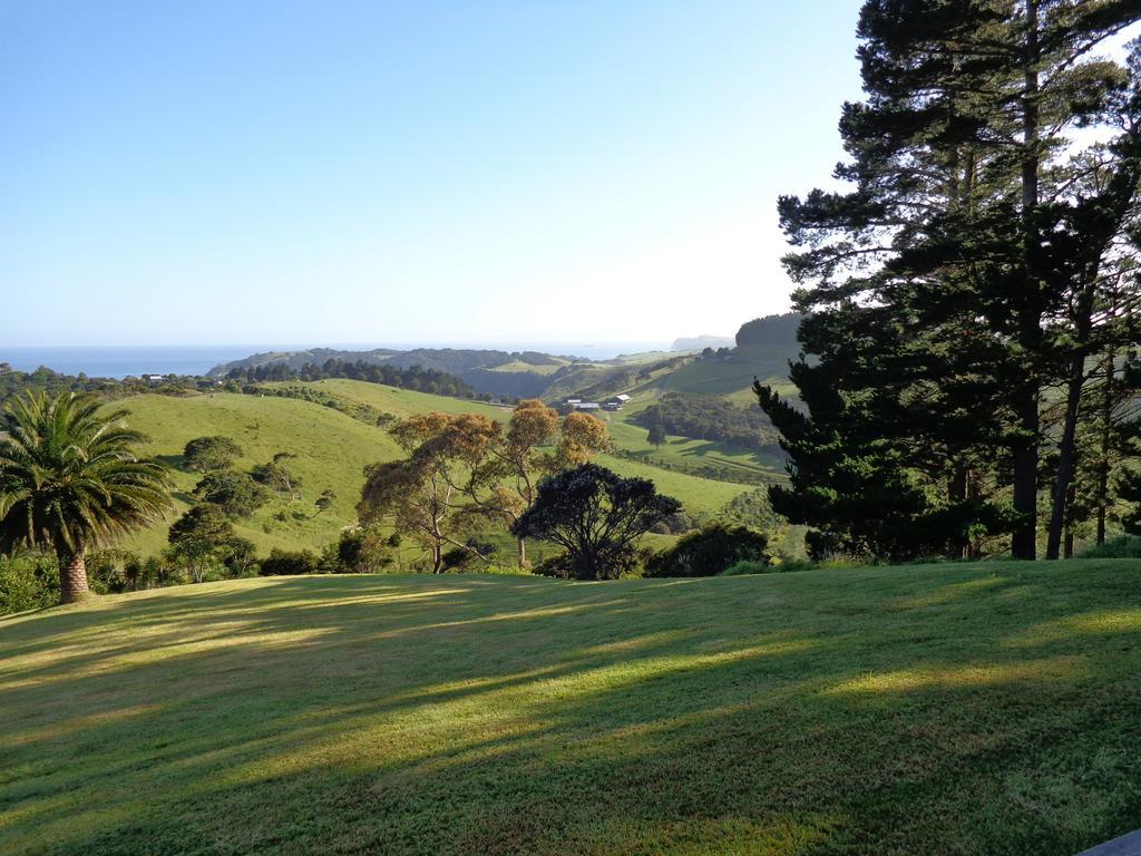 Nikau Apartments Waiheke Island Onetangi Εξωτερικό φωτογραφία